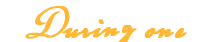 summer10_ltrtxt2.gif